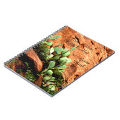 Cactus accrochant de livre d'invité de CHAMBRE (Côté gauche)