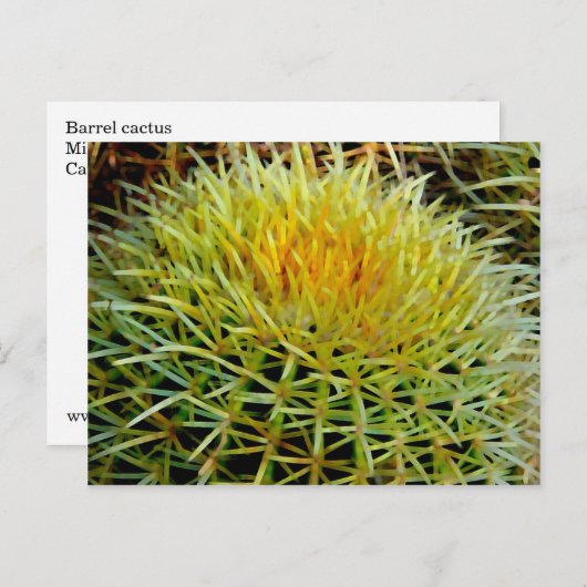 Cactus art #2 Briefkaart (Voorkant / Achterkant)