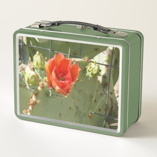 Cactus Belle et dure lunchbox verte (Dos)