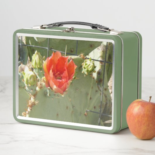 Cactus Belle et dure lunchbox verte (En situation)