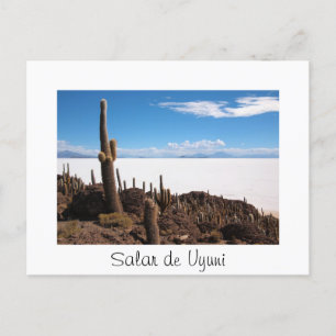 Cactus bij het briefkaart van de Salar de Uyuni-te