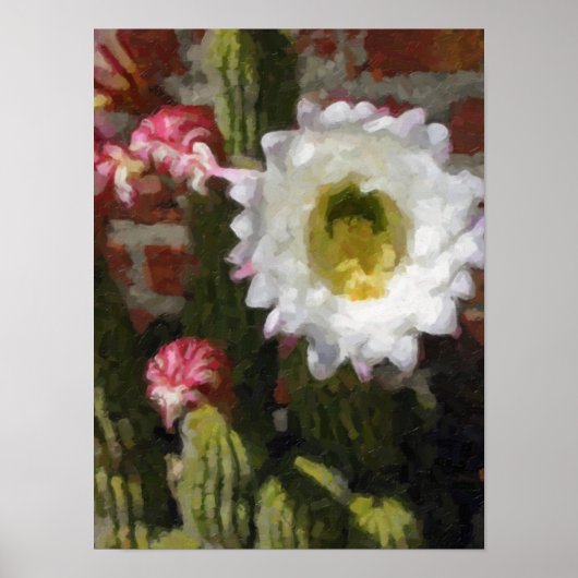 Cactus Bloem Poster (Voorkant)