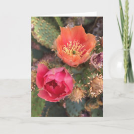 Cactus Bloemen | Bloeiende Woestijn Kaart