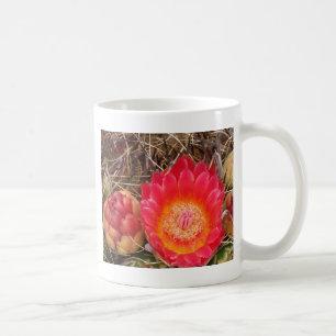 Cactus Bloemen Foto Zuidwest Woestijn Bloem Koffiemok