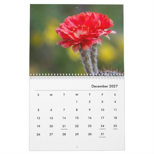 Cactus bloemen kalender (Dec 2027)