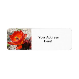 Cactus bloesem retourlabels etiket
