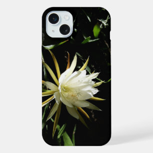 Cactus Bloom