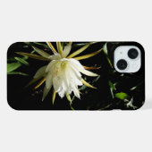 Cactus Bloom (Verso Horizontal)