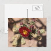 Cactus Bloom Briefkaart (Voorkant / Achterkant)