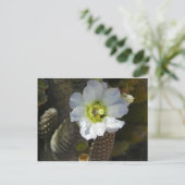 Cactus Bloom Briefkaart (Staand voorkant)