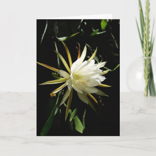Cactus Bloom Kaart
