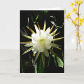 Cactus Bloom Kaart (Gele Bloem)