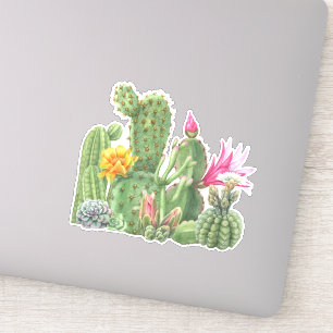 Cactus Blooming Garden Waterverf Zuidwestelijke Wo Sticker