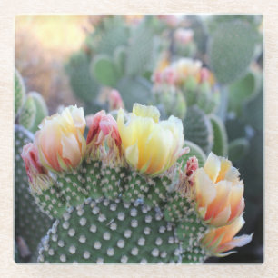 Cactus Blooms Yellow Pink woestijnfoto Glazen Onderzetter