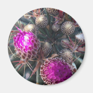 Cactus blossom magneet