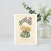  Cactus Botanische Illustratie Briefkaart (Staand voorkant)