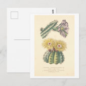  Cactus Botanische Illustratie Briefkaart (Voorkant / Achterkant)