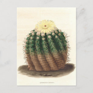 Cactus botanische illustratie uit 1841 briefkaart