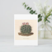 Cactus botanische illustratie uit 1841 briefkaart (Staand voorkant)