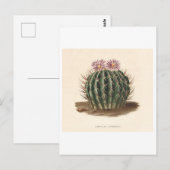 Cactus botanische illustratie uit 1841 briefkaart (Voorkant / Achterkant)