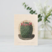 Cactus botanische illustratie uit 1841 briefkaart (Staand voorkant)