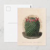 Cactus botanische illustratie uit 1841 briefkaart (Voorkant / Achterkant)