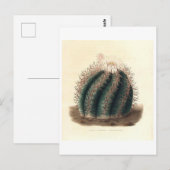 Cactus botanische illustratie uit 1841 briefkaart (Voorkant / Achterkant)