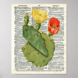  Cactus Botanische Kunst op Woordenboek Pagina 11 Poster