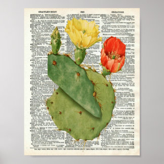 Cactus Botanische Kunst op Woordenboek Pagina 11 Poster
