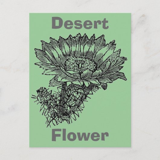 Cactus Briefkaart (Voorkant)