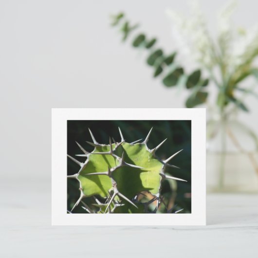 Cactus Briefkaart (Staand voorkant)