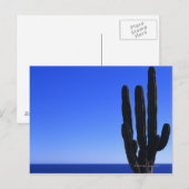 Cactus Briefkaart (Voorkant / Achterkant)