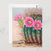  cactus briefkaart (Voorkant / Achterkant)