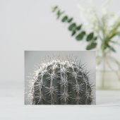 Cactus Briefkaart (Staand voorkant)