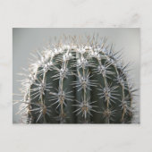 Cactus Briefkaart (Voorkant)