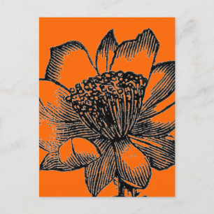 Cactus Briefkaart