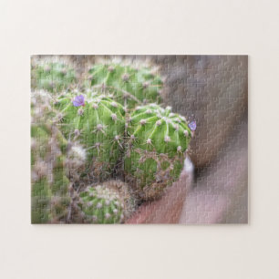 Cactus Cacti Flower Natuur Legpuzzel