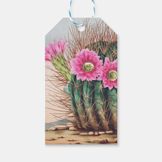 cactus cadeaulabel (Voorkant)