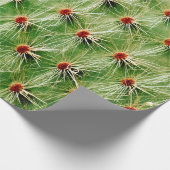 Cactus Cadeaupapier (Hoek)