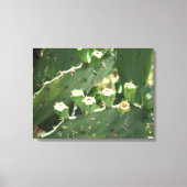 Cactus Canvas Afdruk (Voorkant)