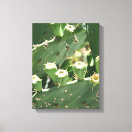 Cactus Canvas Afdruk