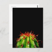 Cactus Ceramic Briefkaart (Voorkant / Achterkant)