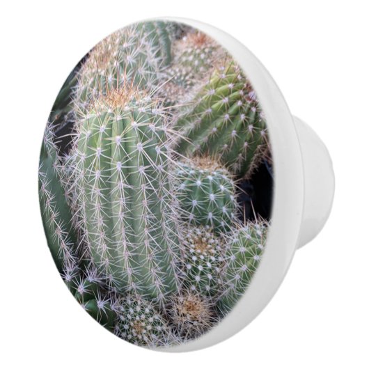 Cactus Ceramic Pull Keramische Knop (Rechts)