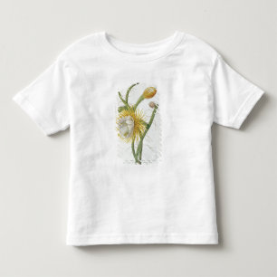 Cactus: Cereus, van Trew's 'Plantae Selectae' 175 Kinder Shirts