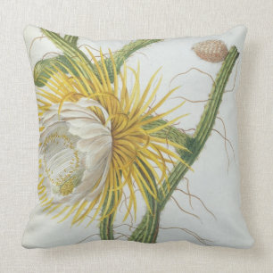 Cactus: Cereus, van Trew's 'Plantae Selectae' 175 Kussen