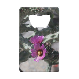 Cactus Challa en fleurs