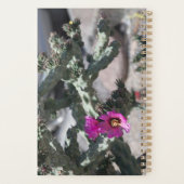 Cactus Challa en fleurs (Dos)