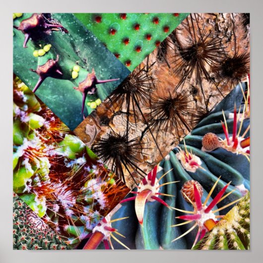 Cactus Collage Poster (Voorkant)
