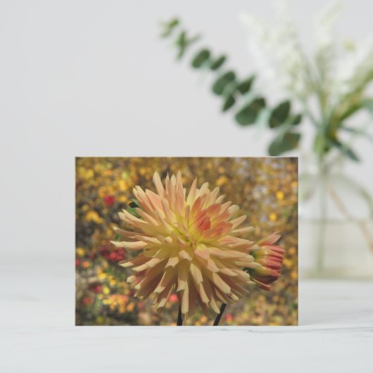 Cactus Dahlia Briefkaart (Staand voorkant)