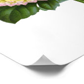 Cactus Dahlias Poster (Hoek)